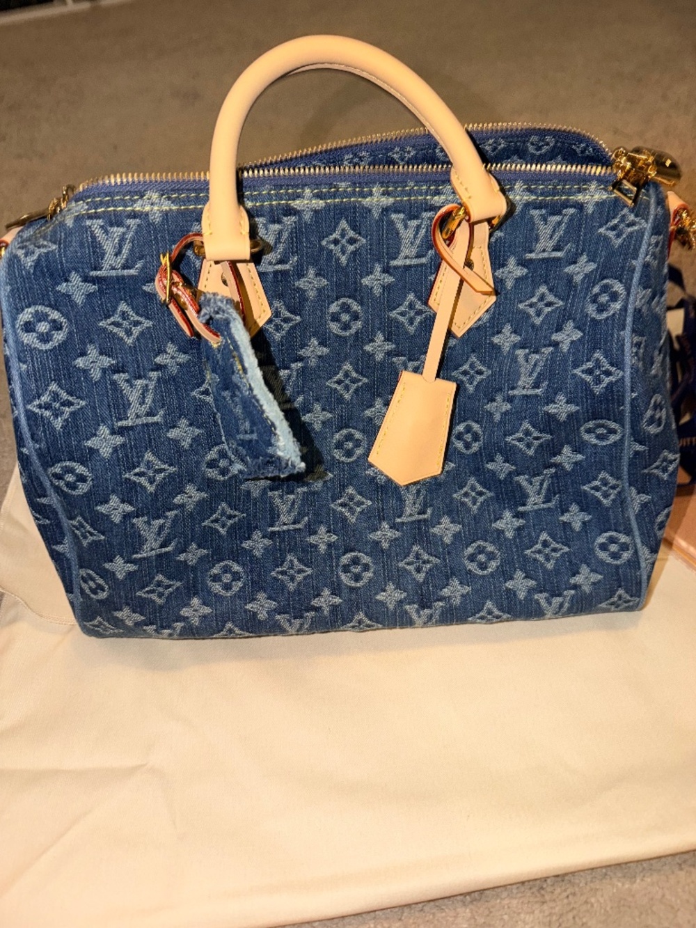 Denim LV Speedy 30 Soft